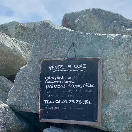 Daire Le Petit Semaphore