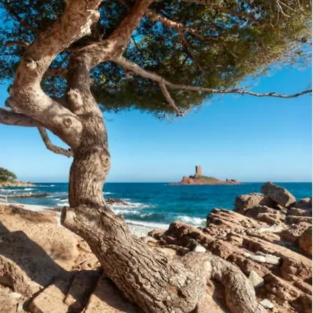 Appartement Le Petit Sémaphore